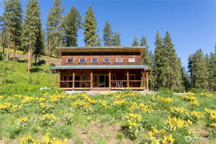 Flowers, summer 2025