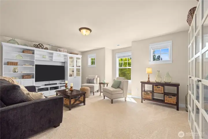 The great room upstairs. Perfect spot to catch a movie or the big game.