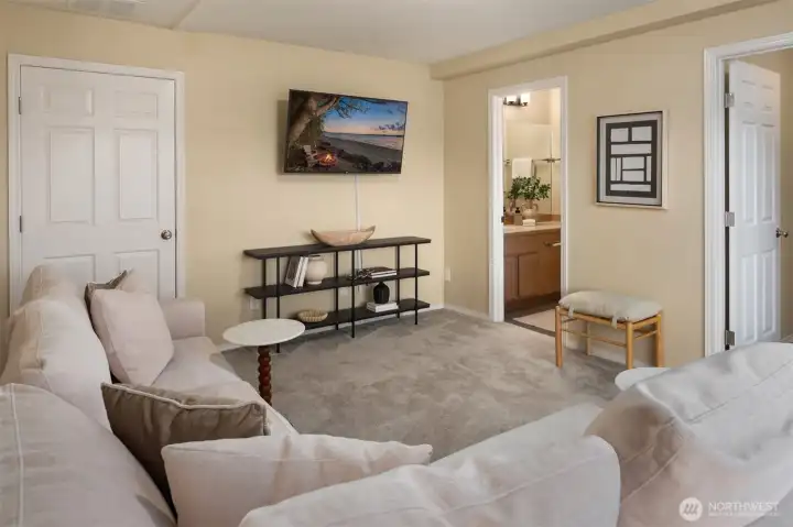 lower level living area