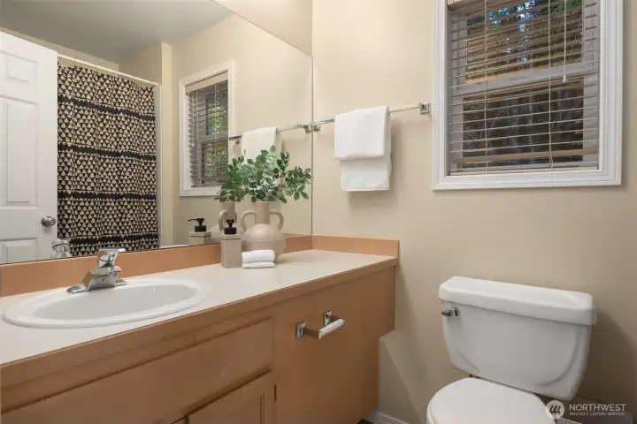 lower level bathroom