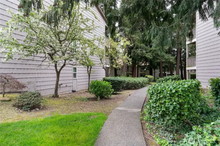 Paved paths take you through the park-like setting and toward the pool/clubhouse/common areas.