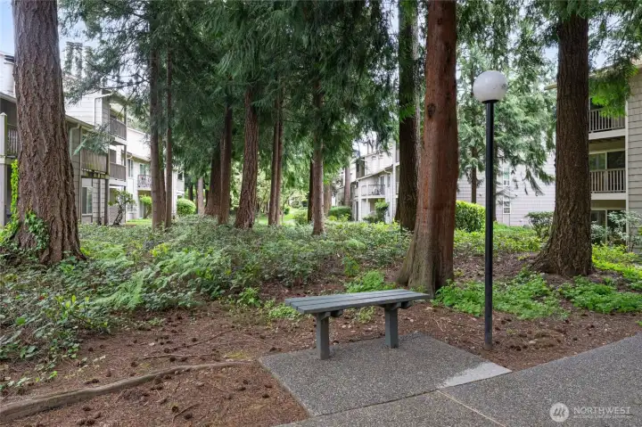 The grounds are well kept with a lot of mature trees and landscaping. Bench in common area offers a spot to sit in nature.
