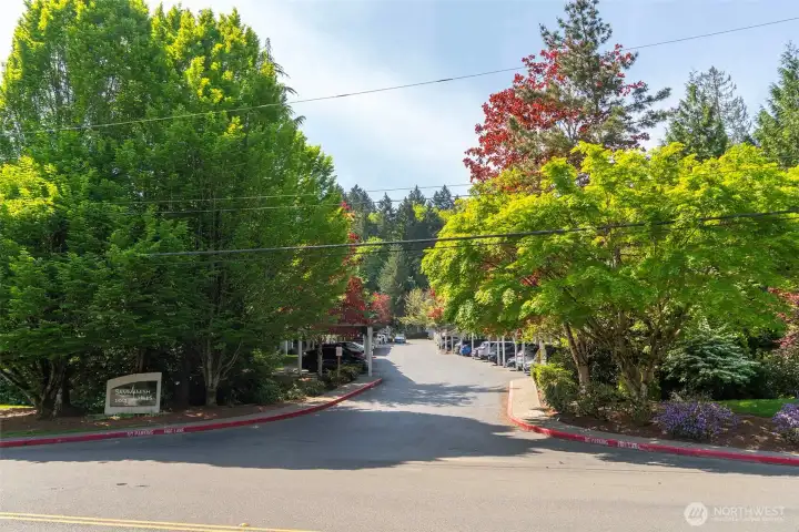 Easy living just minutes from Downtown Issaquah.