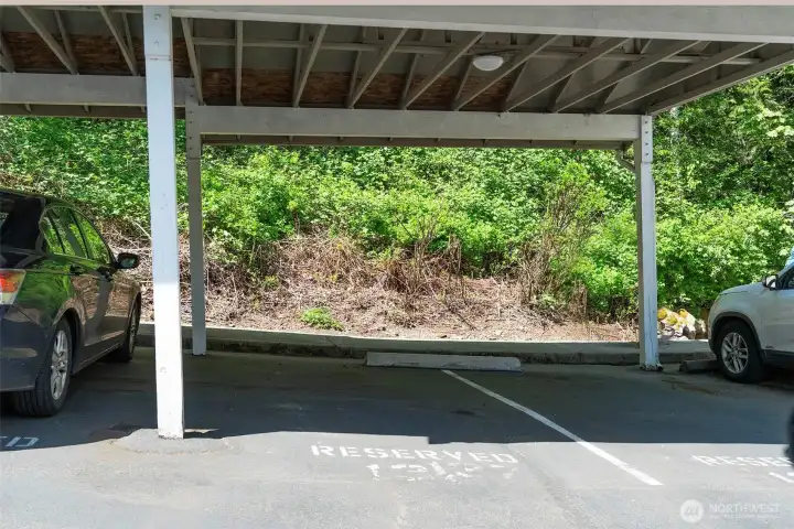 Reserved covered parking spot #237 right by the unit. Ample guest parking, too.