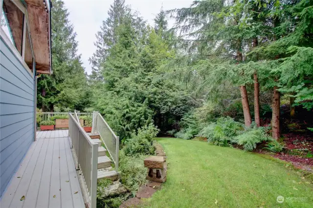 Large yard and trees make this a quiet and peaceful retreat.