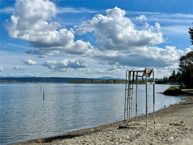 Enjoy basking in the sun and swimming in the cool waters of Lake Washington this summer!