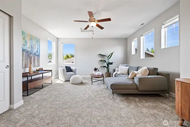Staged Upstairs 3rd Bedroom/Bonus Room