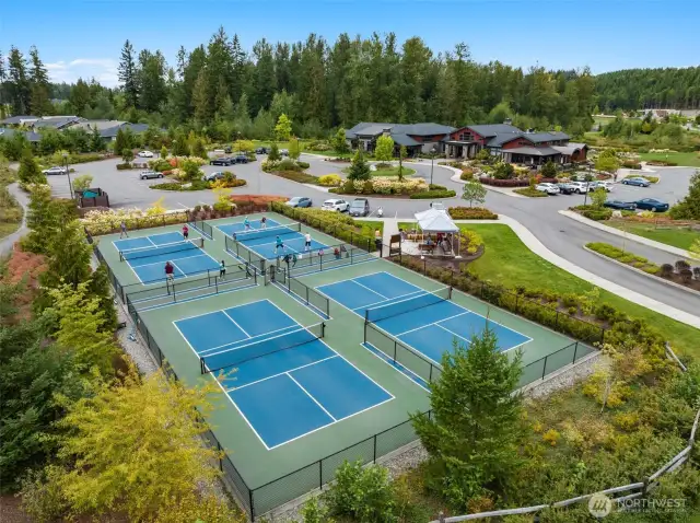 Pickleball!