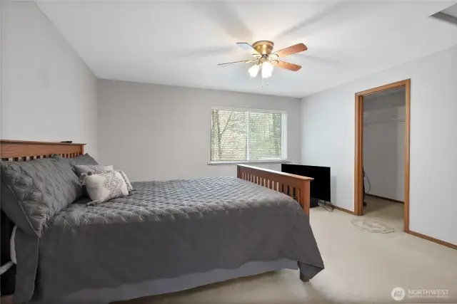 Primary bedroom with walk-in closet.