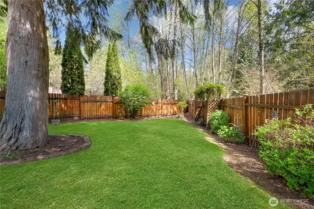 Nice cozy backyard.
