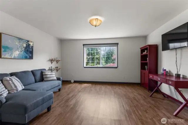 Lower level family room has lots of options for use.