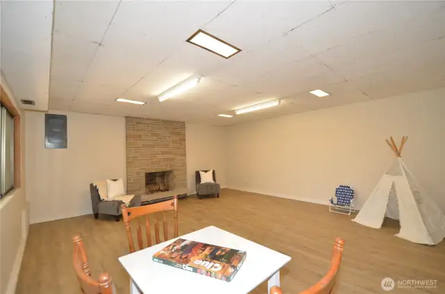 Downstairs Family Room or MIL Family Room