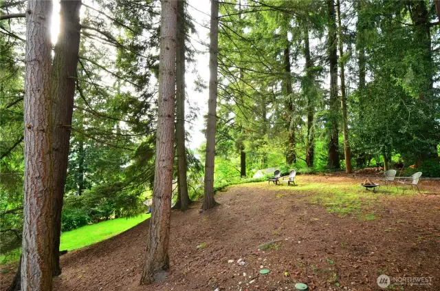 Private Backyard