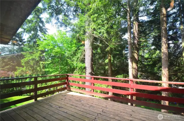 View from Deck