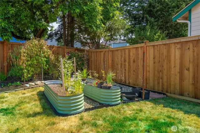 Raised garden beds!