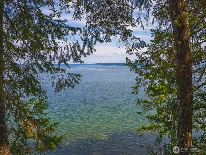 Enjoy endless exciting recreational water activities including scuba diving, water skiing, fishing, crabbing and more !