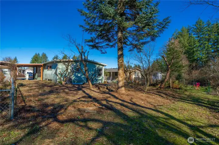 HUGE backyard with endless possibilities for gardening, relaxing, or outdoor entertaining.