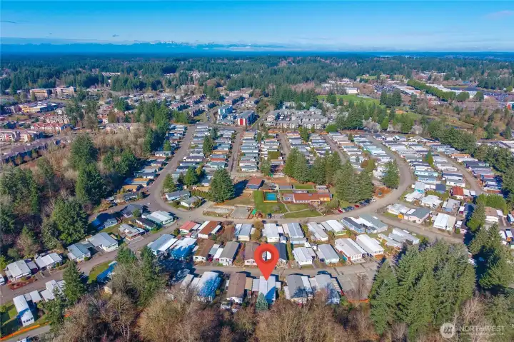Aerial view highlighting the established 55+ community and its convenient location near shopping, dining, medical services, and transit.