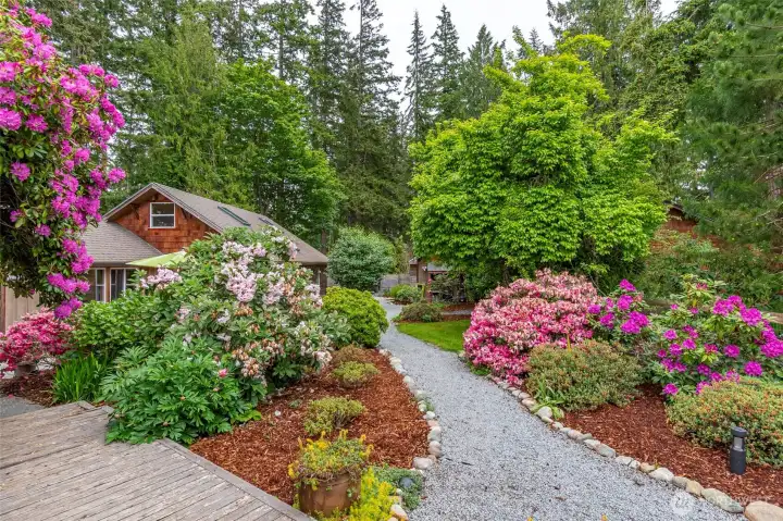 Mature plantings display different shows each season