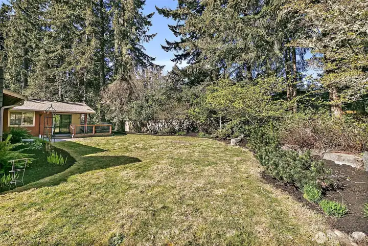 A park-like backyard with room to spread out.