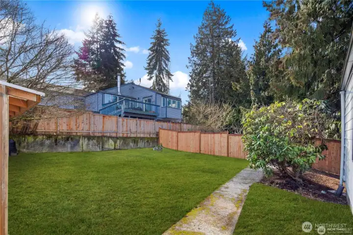 Back yard view