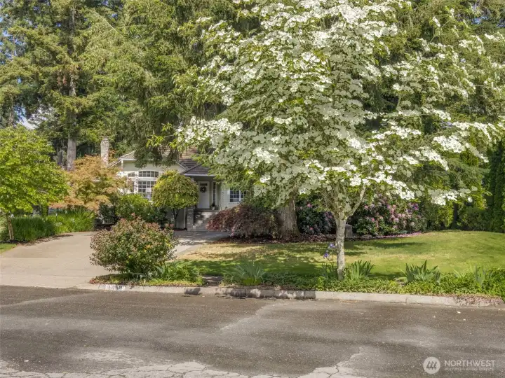 Front Yard