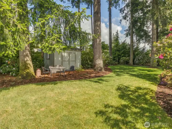Backyard
