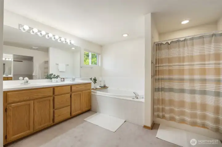 Primary bathroom