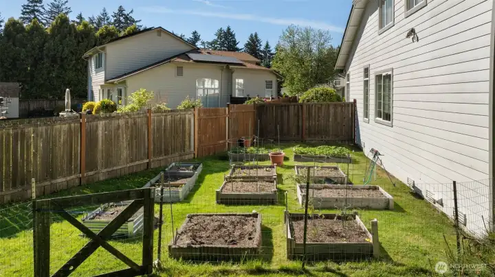 Private gardening area with raised beds