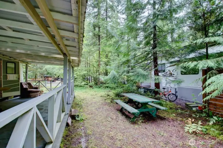 Outdoor living in the trees Outdoor living in the trees