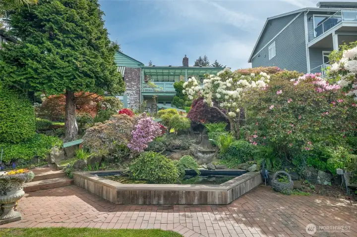 Water fountain to pond entertaining area