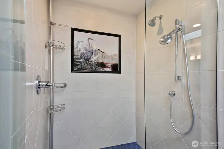 Primary shower Primary shower
