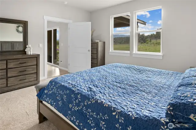 Primary bedroom is quite large and has a walk in closet.