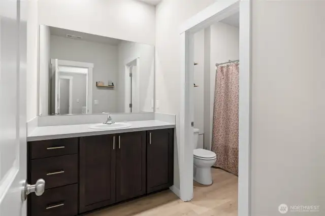 Guest bathroom.