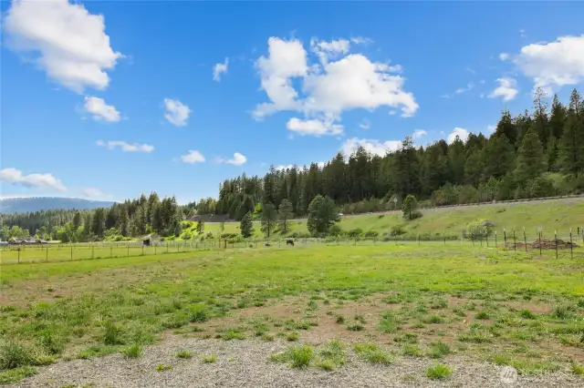 Pasture area behind the home.