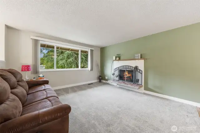 Cozy wood burning fireplace in the living room with a brand new chimney