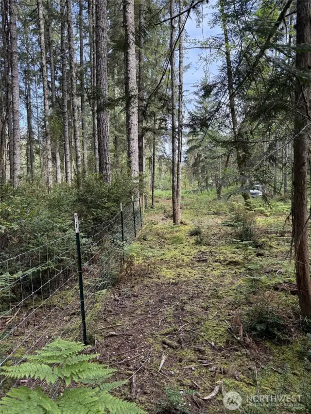 Property Gate Line