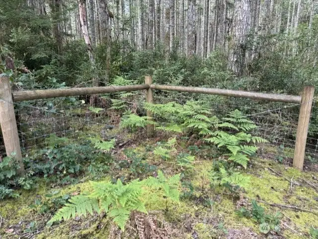 Property Gate Line