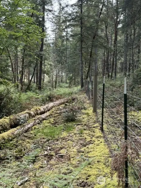 Property Gate Line