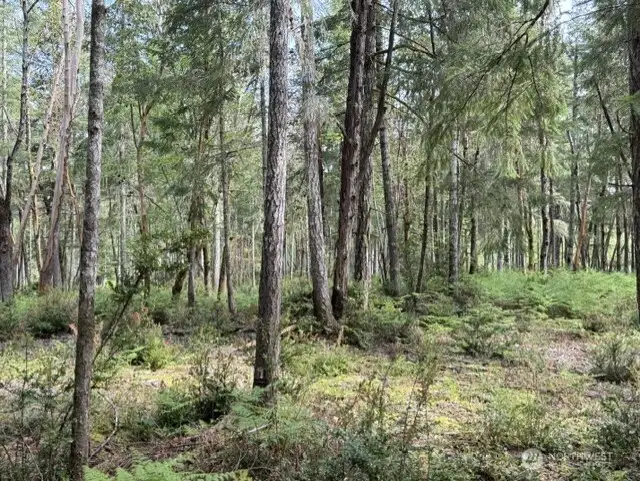 Property Land