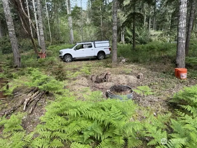 Picnic Area