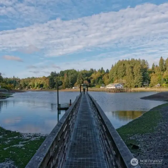 Viewing Dock