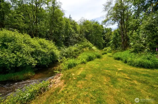 Meadow along the creek
