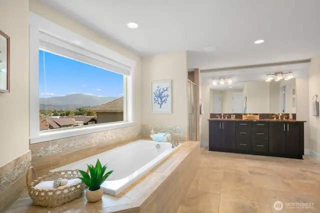 primary bathroom with a view