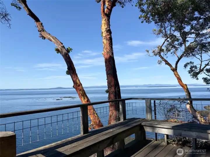 Stunning views of whales, sunset & mountains!