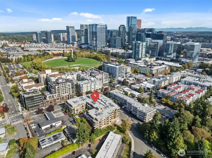 Enjoy the Bellevue Downtown Park.  The park consists of a circular ring with a large central greenspace that is surrounded by a moat and walking trails and hosts several events throughout the year including an ice skating rink during the winter holidays.