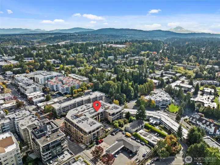 Modern luxury meets urban convenience in the heart of Bellevue’s most desirable neighborhood.