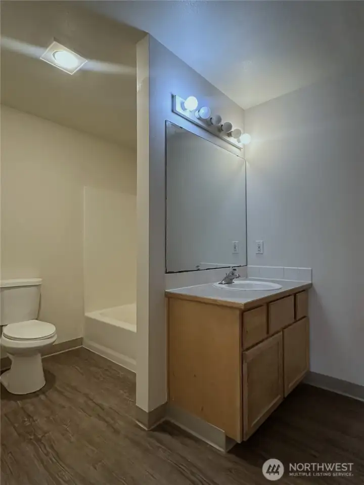 Lower Level Bathroom
