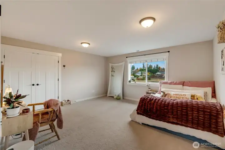 Huge guest bedroom/bonus/media room...