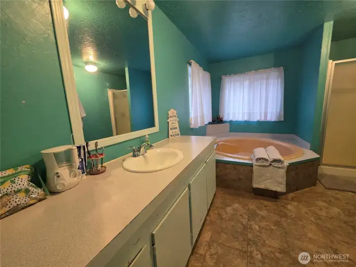 primary bath, lots of counter space